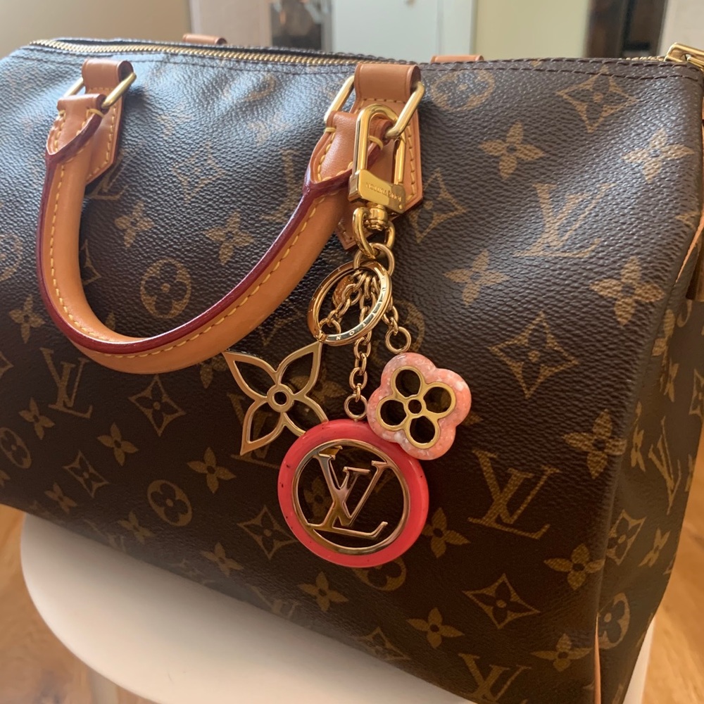 Louis Vuitton Colorline Bag Charm and Key Holder